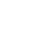 Slide suivant